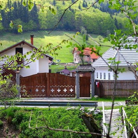 Gospodaria Lui Nea Ion Vama Buzaului Ngoại thất bức ảnh
