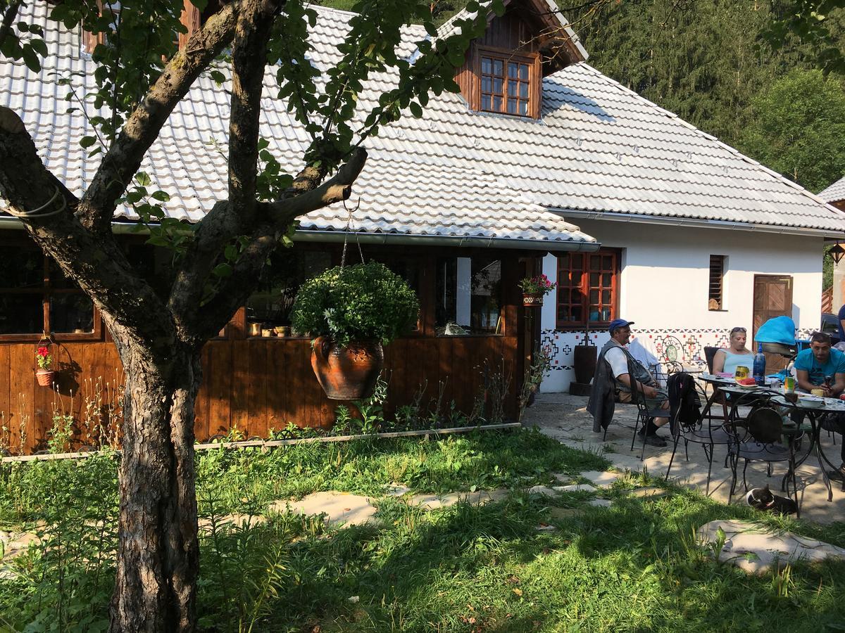Gospodaria Lui Nea Ion Vama Buzaului Ngoại thất bức ảnh